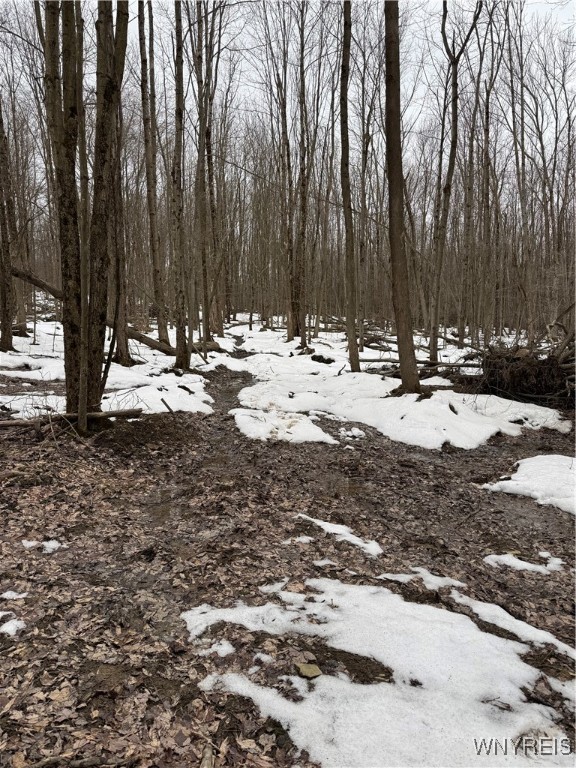 Cr-3, Centerville, New York image 7