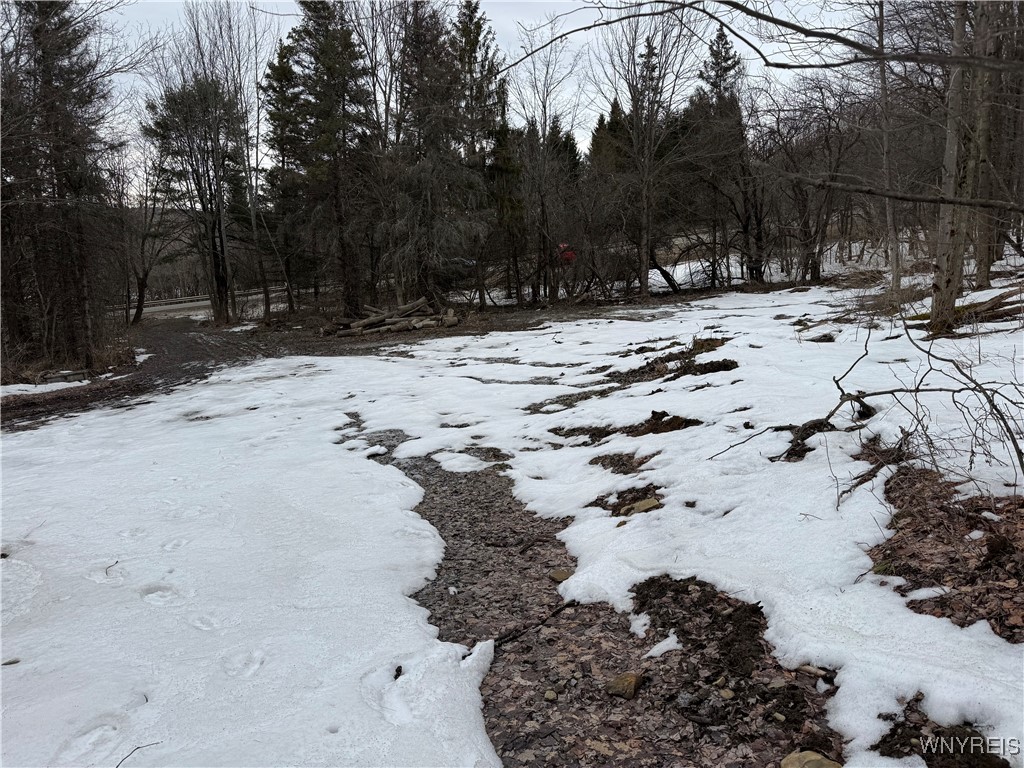 Cr-3, Centerville, New York image 3