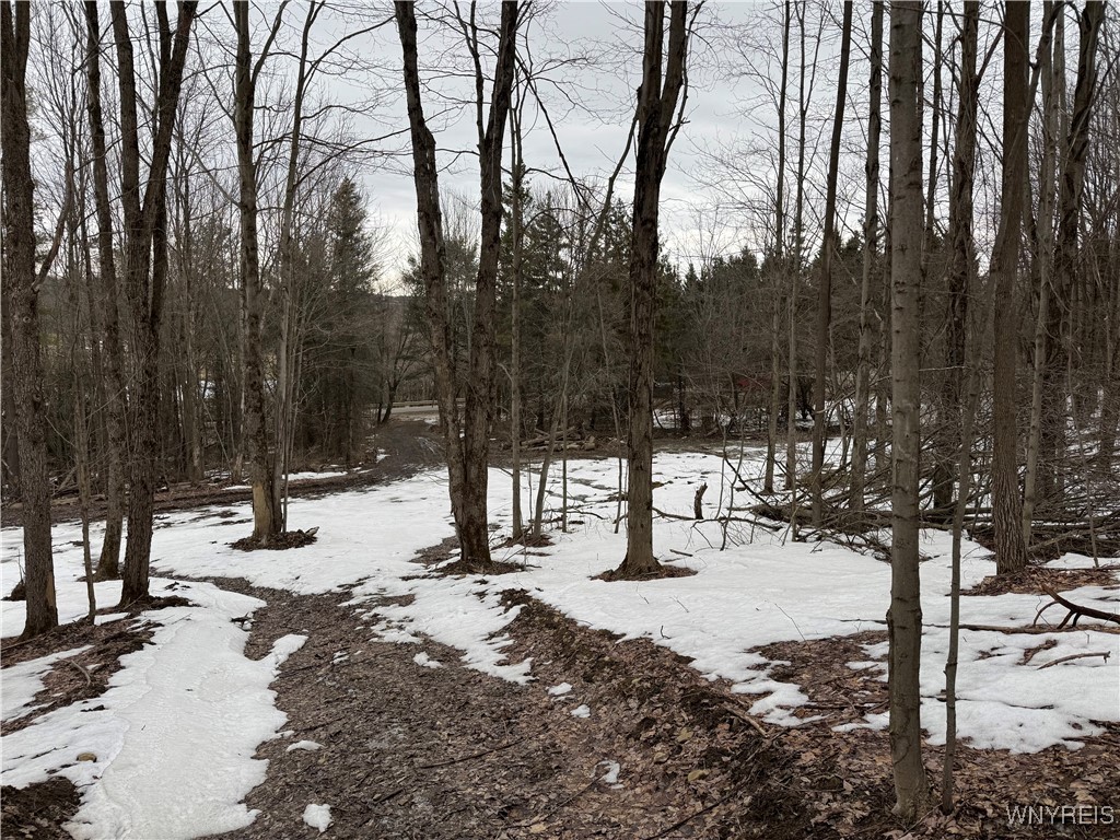 Cr-3, Centerville, New York image 6