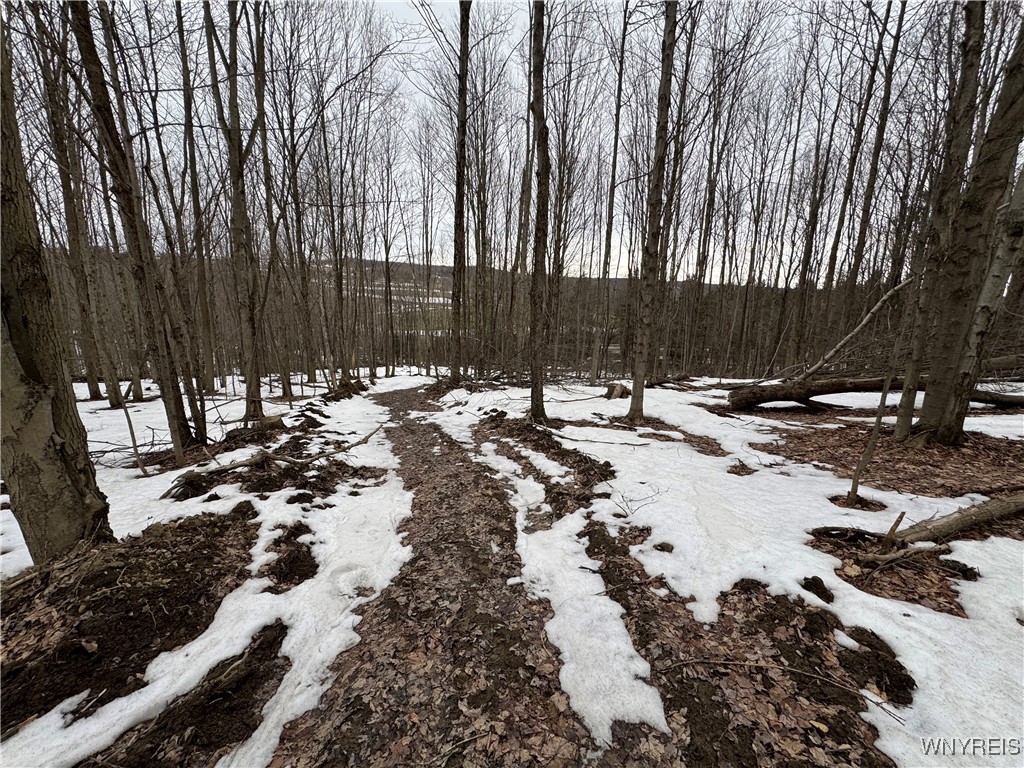 Cr-3, Centerville, New York image 5