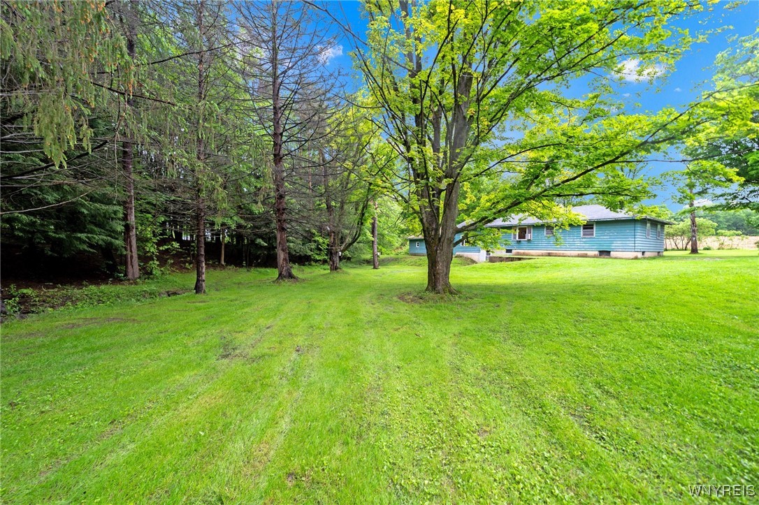 13253 Quaker Street, Collins, New York image 37