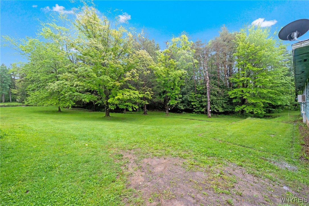 13253 Quaker Street, Collins, New York image 38