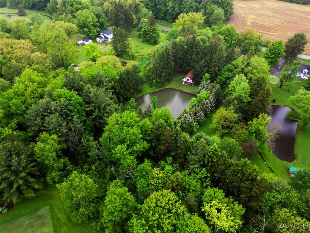 13253 Quaker Street, Collins, New York image 3