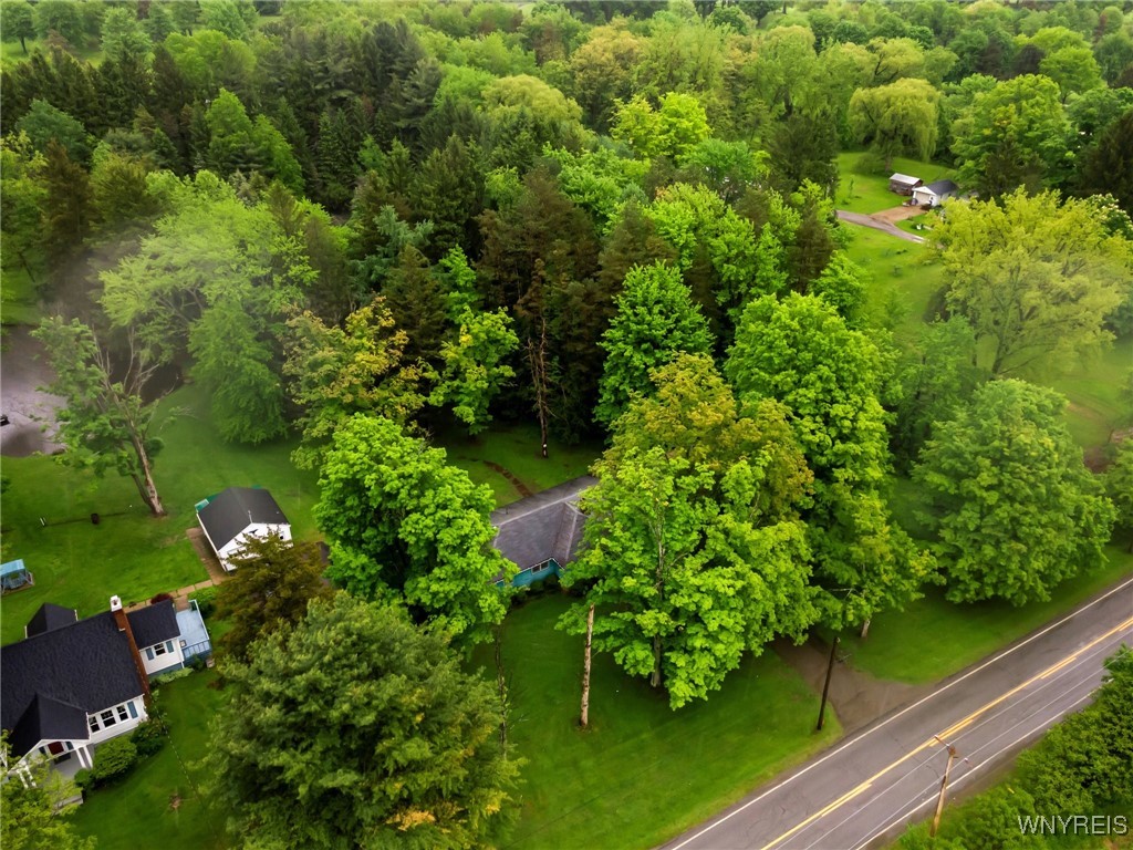 13253 Quaker Street, Collins, New York image 44