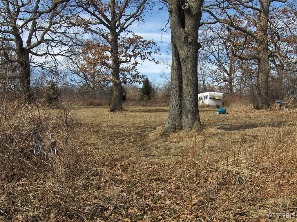 5509 Barber Hill Road, Groveland, New York image 8