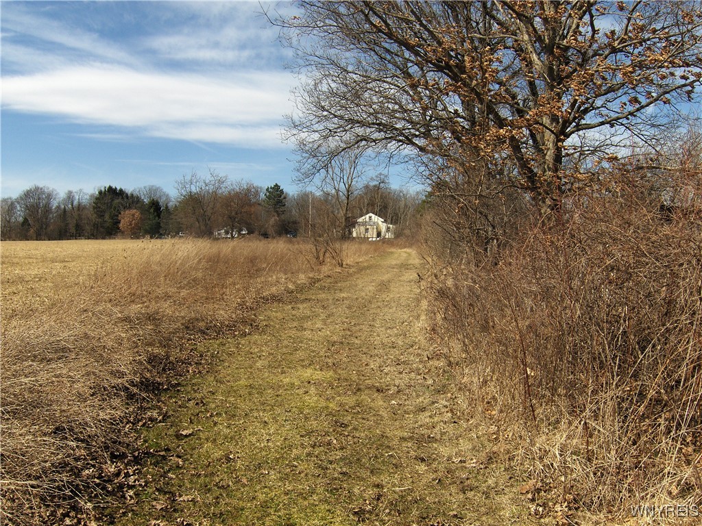 5509 Barber Hill Road, Groveland, New York image 13