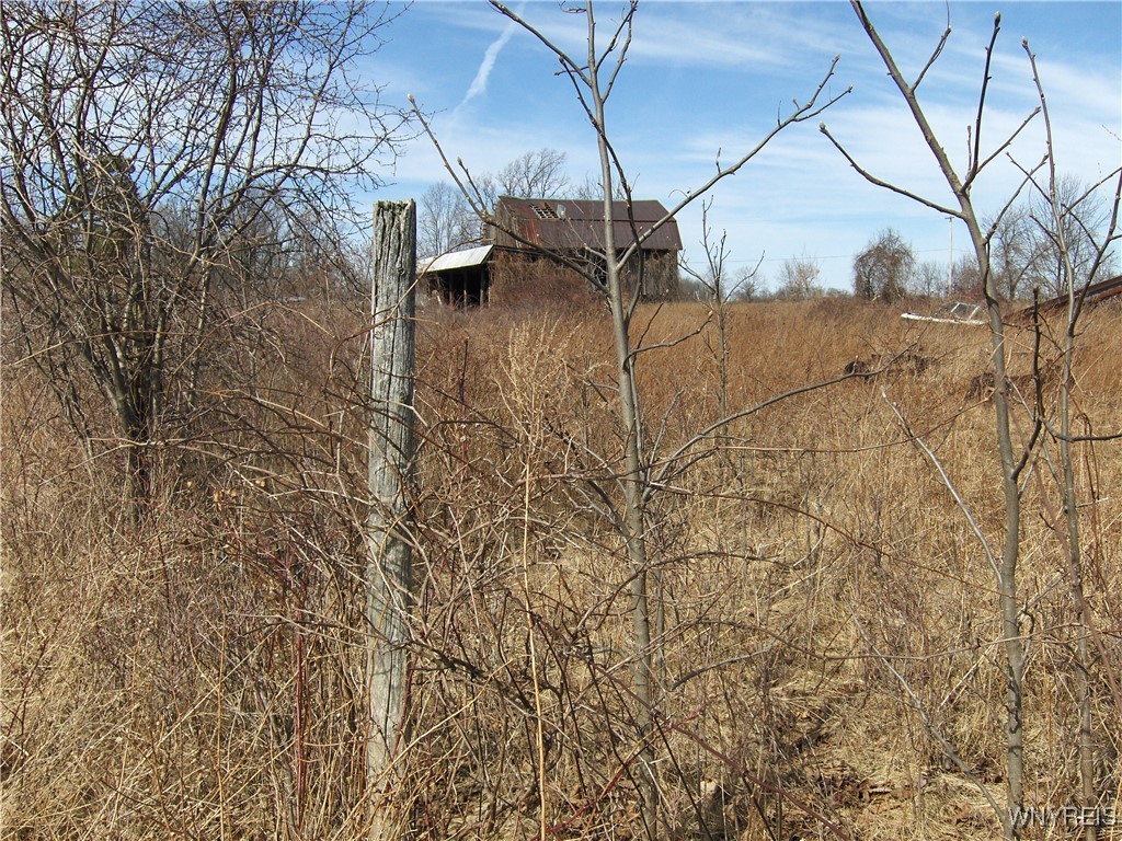 5509 Barber Hill Road, Groveland, New York image 14