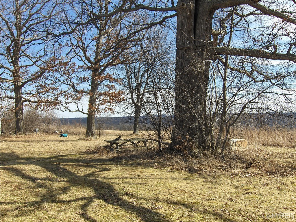 5509 Barber Hill Road, Groveland, New York image 10