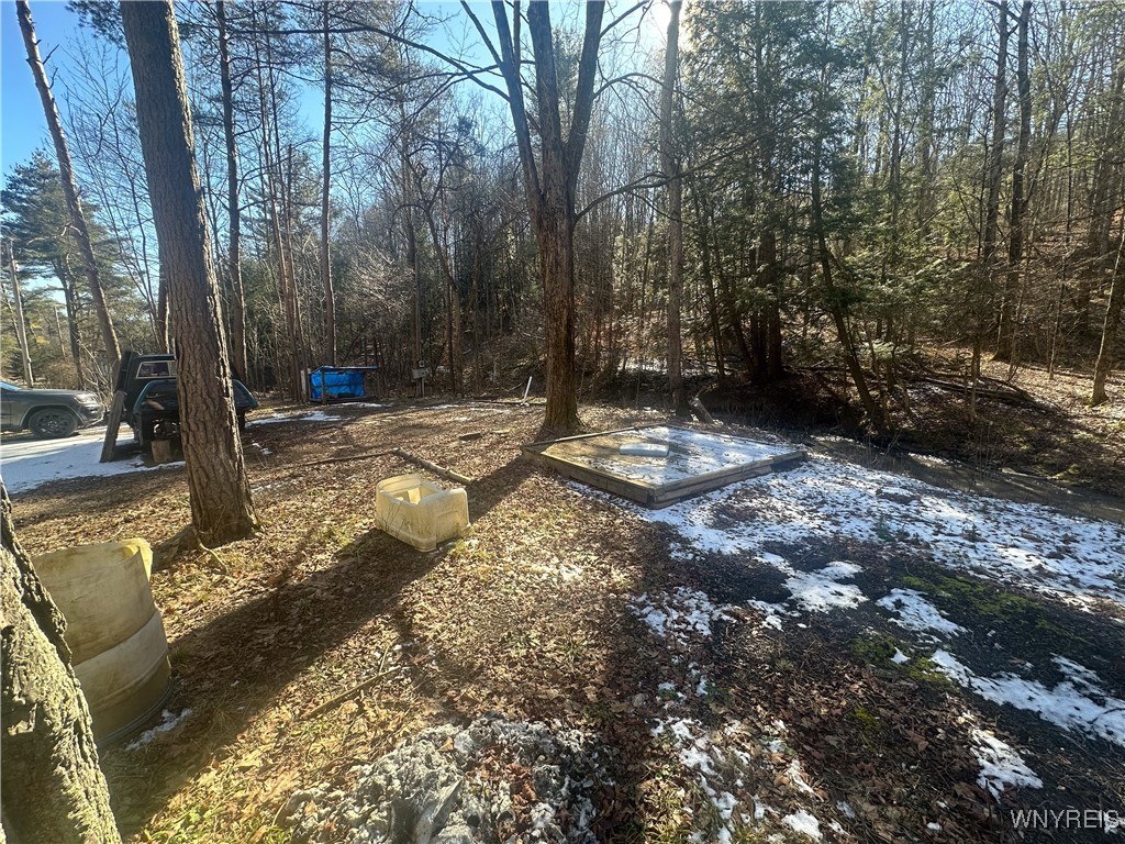 5275 Pigtail Road, Friendship, New York image 14