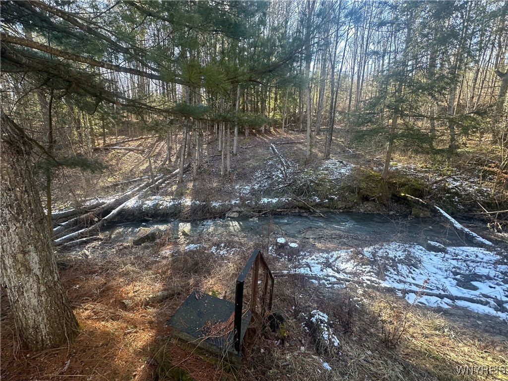 5275 Pigtail Road, Friendship, New York image 10