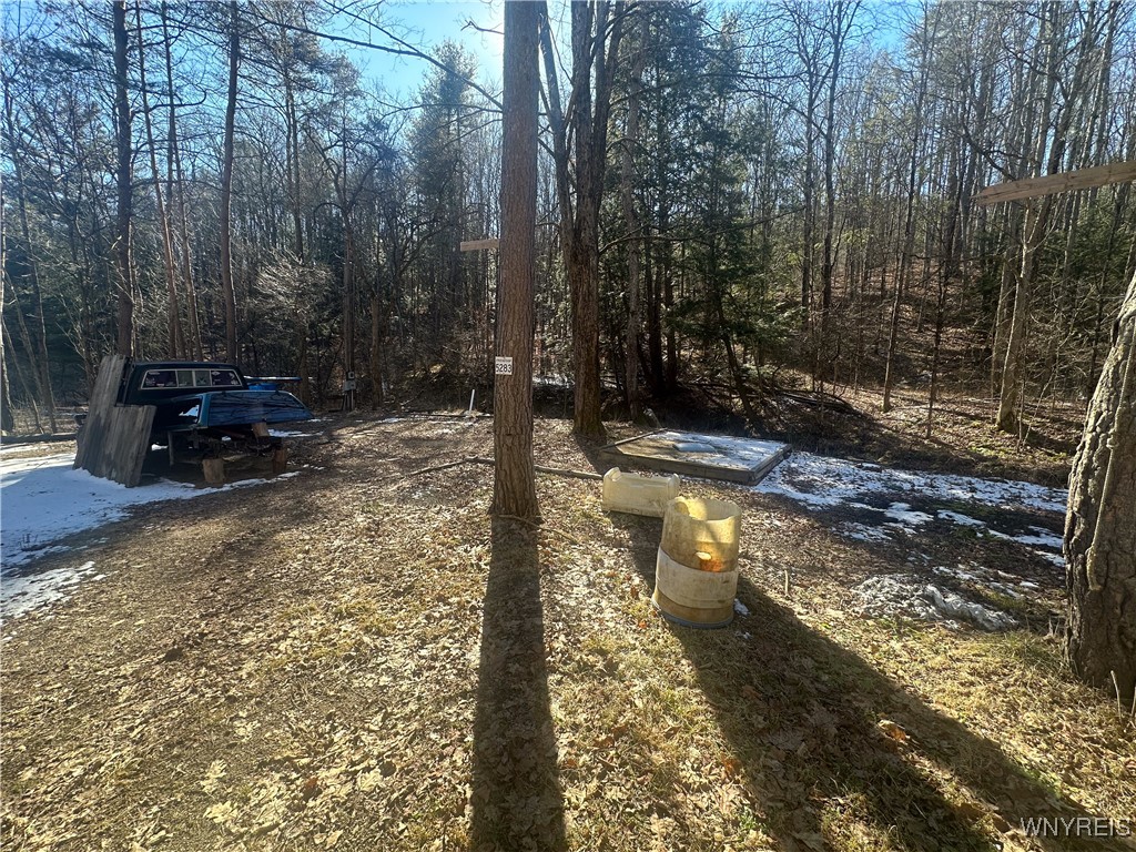 5275 Pigtail Road, Friendship, New York image 11