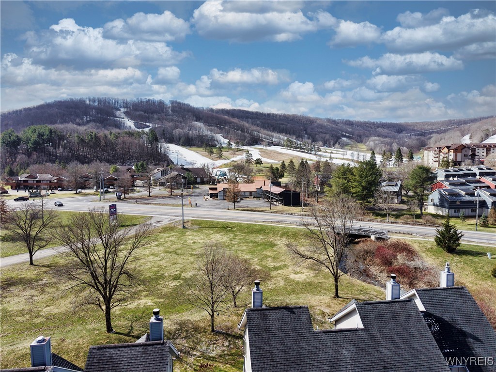 204 Wildflower, Ellicottville, New York image 40