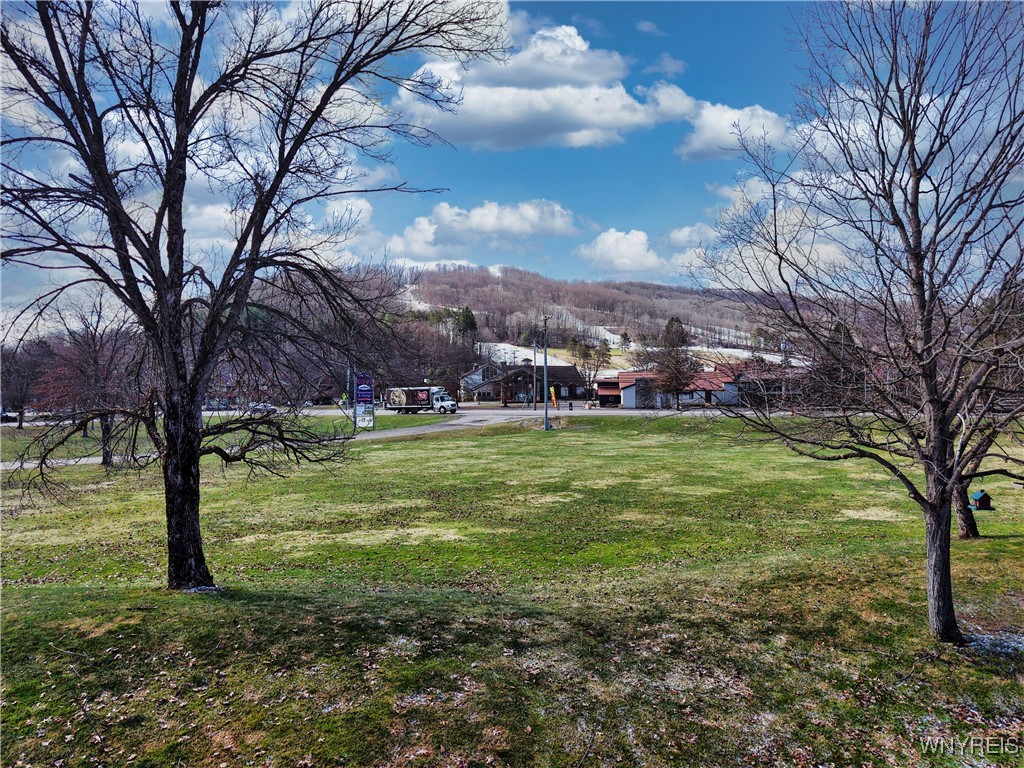 204 Wildflower, Ellicottville, New York image 46