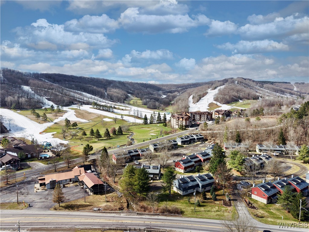 204 Wildflower, Ellicottville, New York image 41