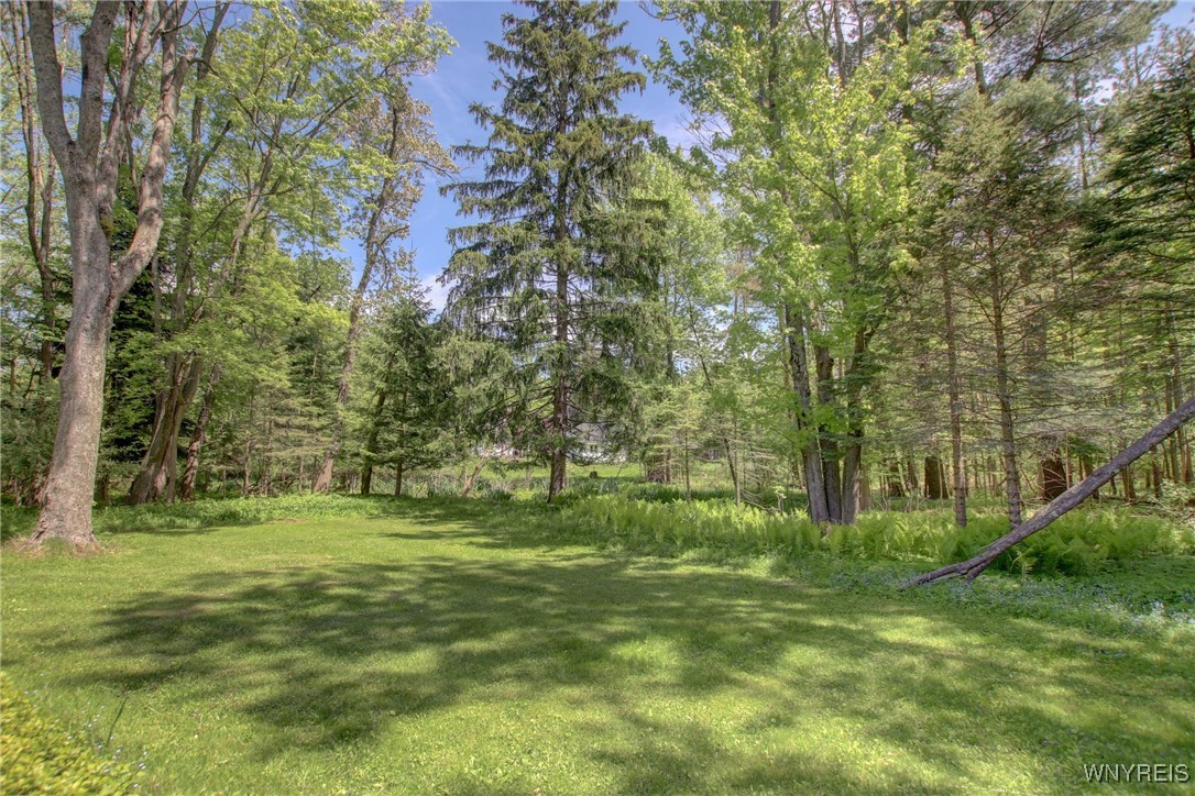 7 Forsythia Court, Orchard Park, New York image 34