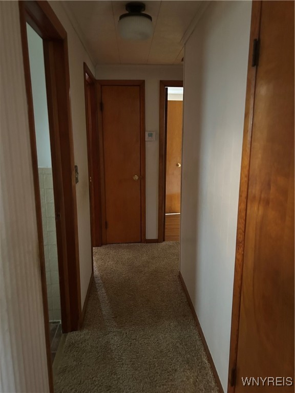 126 Claude Drive, Cheektowaga, New York image 10