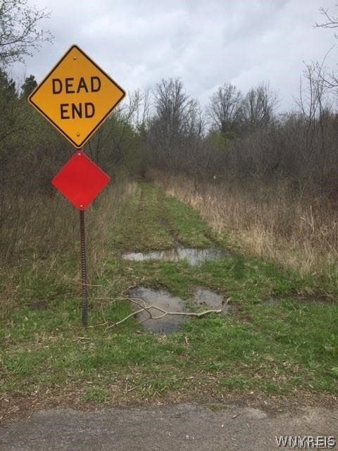 Vacant Land For Sale - V/L 5th Street W<br/> Grand Island, NY 14072