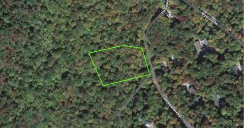 Photo of 00 Old Big Moose Road, Webb, NY 13331 (MLS # B1630102)