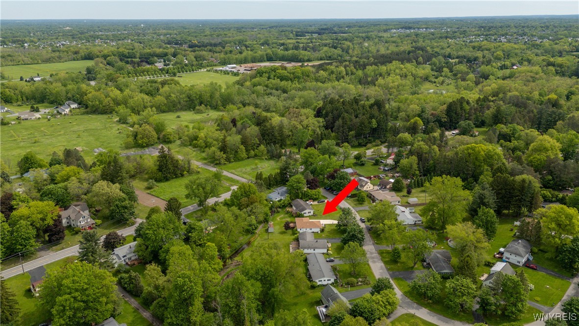 171 Maple Drive, Orchard Park, New York image 40