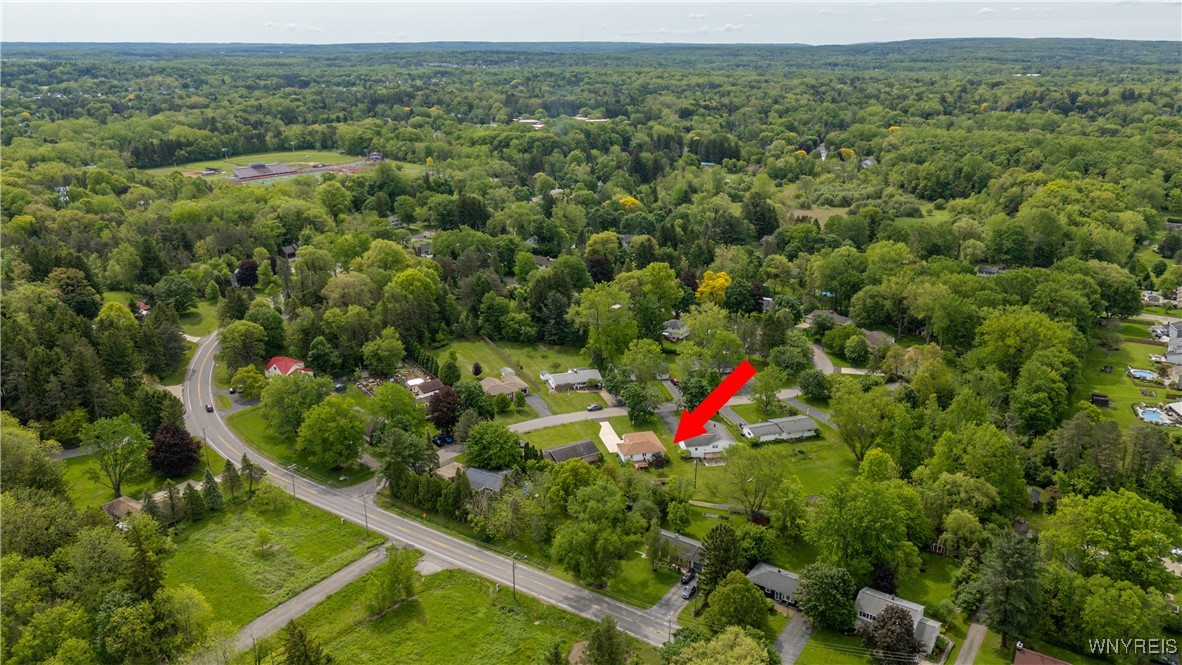 171 Maple Drive, Orchard Park, New York image 41
