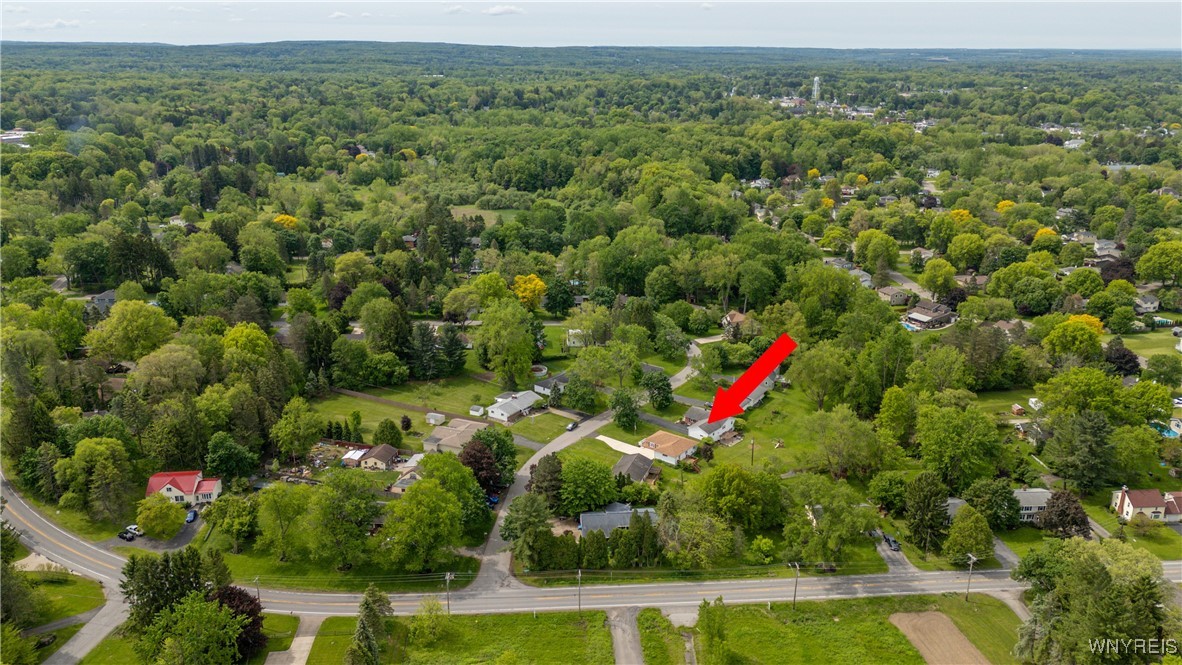 171 Maple Drive, Orchard Park, New York image 37