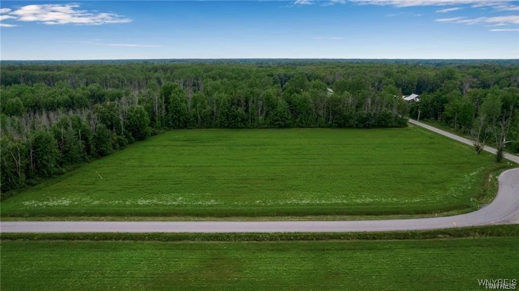 Clarence, New York 14032, United States, ,Land,Active,180587