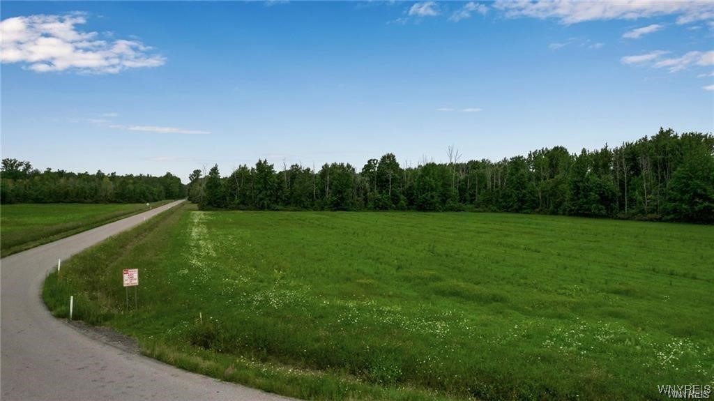 Clarence, New York 14032, United States, ,Land,Active,180587