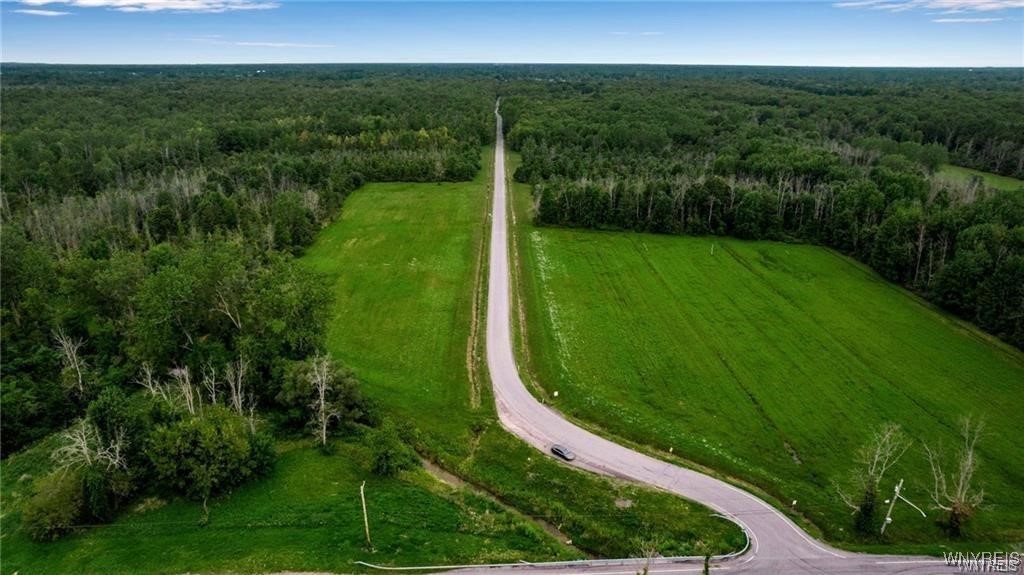 Clarence, New York 14032, United States, ,Land,Active,180587