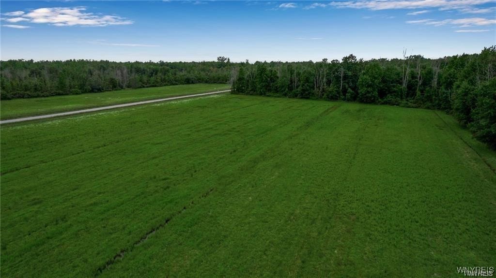 Clarence, New York 14032, United States, ,Land,Active,180587