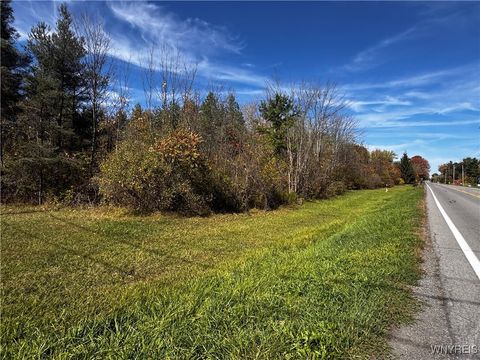 Vacant Land For Sale - VL Coomer Road<br/> Newfane, NY 14108