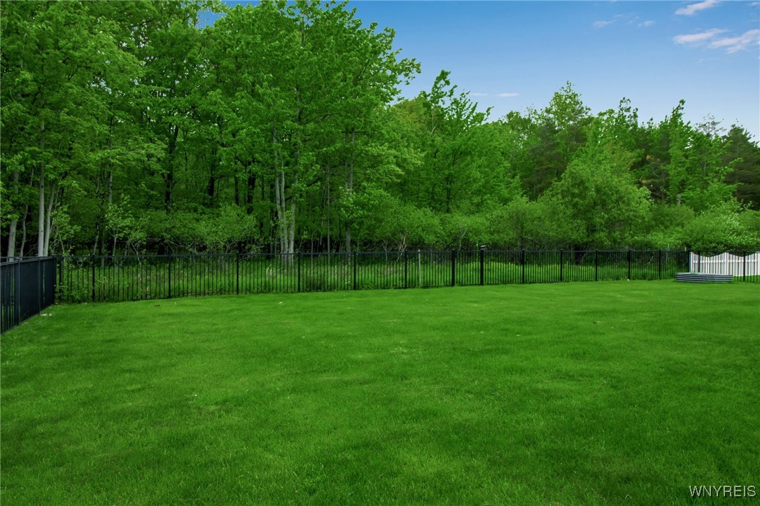 4775 Mosey Lane, Hamburg, New York image 40