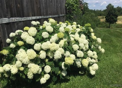 Tiny photo for 1571 Poland Hill Road, Bennington, NY 14011 (MLS # B1655370)