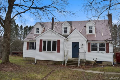 Homes For Sale - 8764 West Avenue<br/> Erie County, Eden, NY 14057