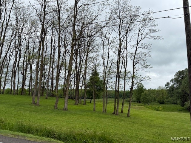 VL Davis Road, Aurora, New York image 2