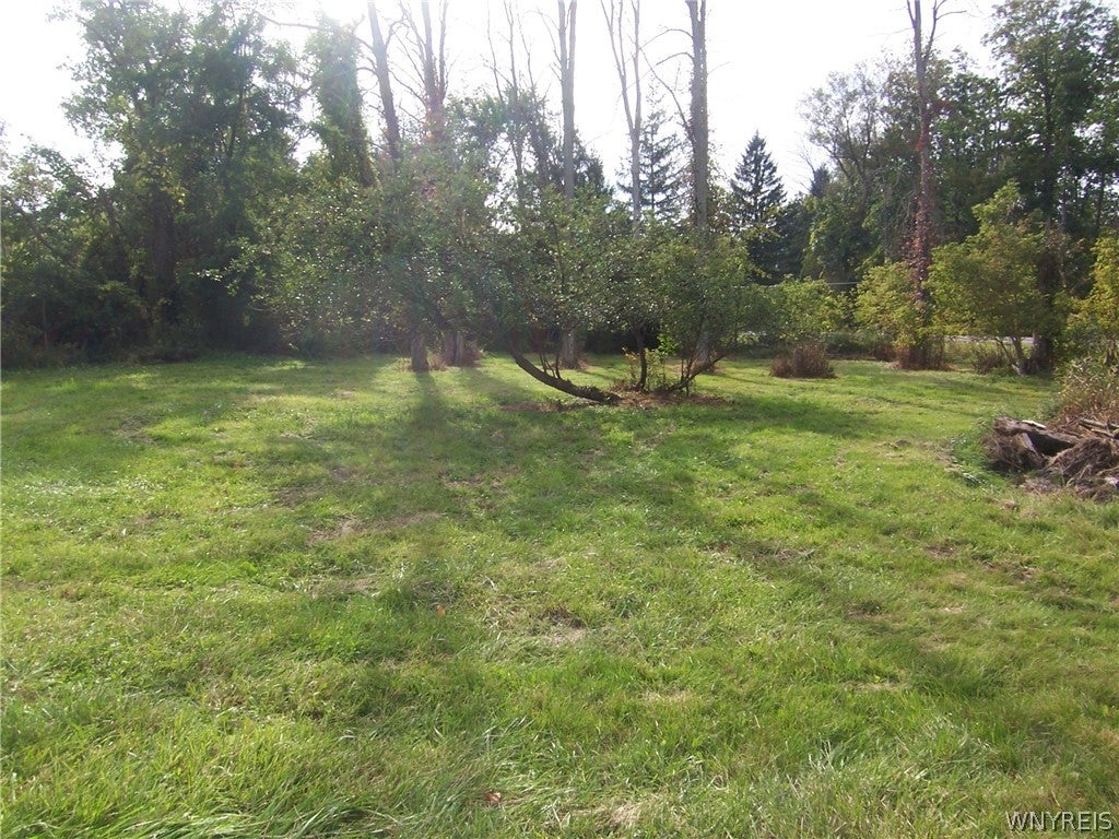 3338 Dodgeson Rd Road