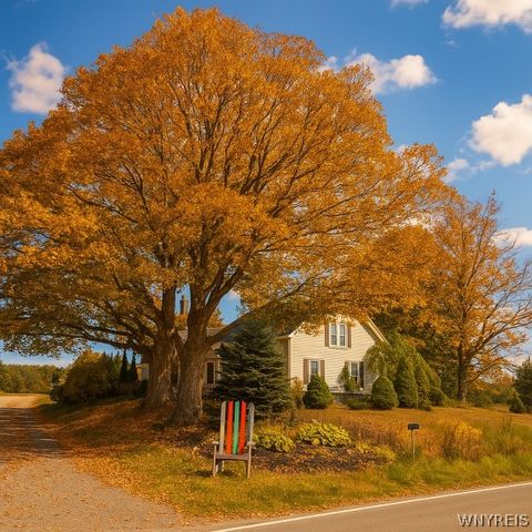 Homes For Sale - 6178 Route 242<br/> Cattaraugus County, Ellicottville, NY 14731