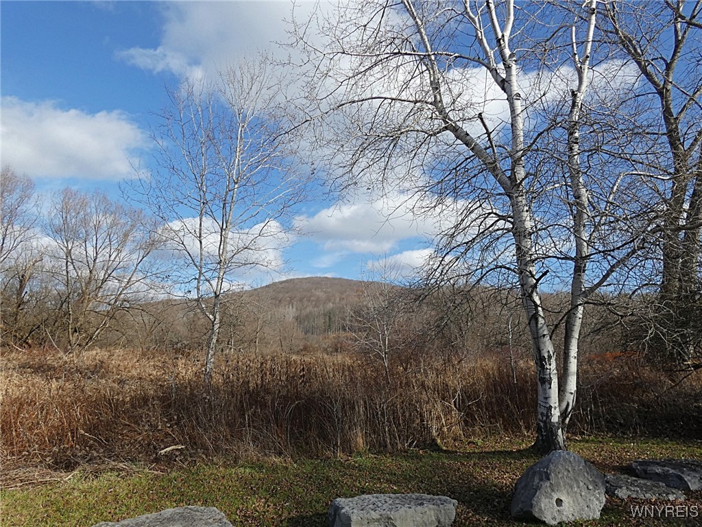 Cooney Road, Franklinville, New York image 1