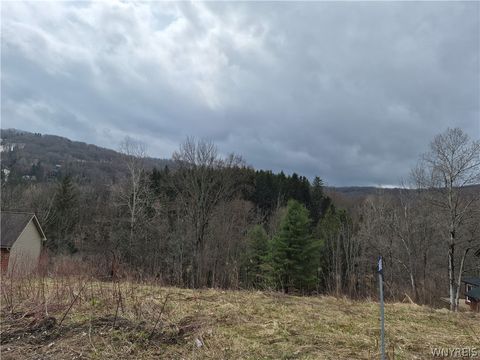 Vacant Land For Sale - 6843 Springs Road<br/> Cattaraugus County, Ellicottville, NY 14731