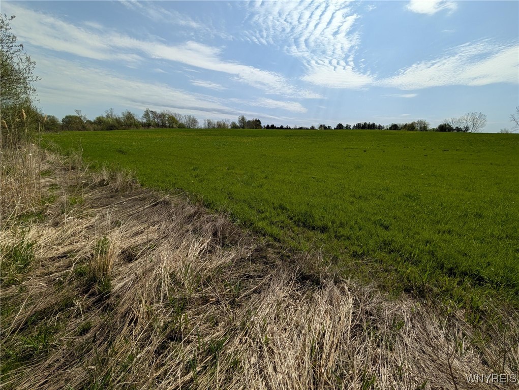 12720 Bullis Road, Marilla, New York image 6