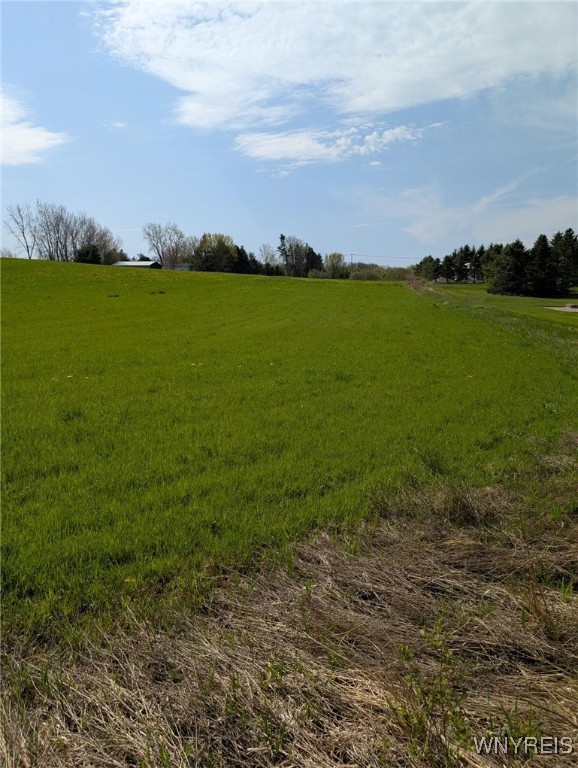 12720 Bullis Road, Marilla, New York image 5