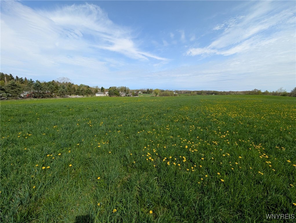 12720 Bullis Road, Marilla, New York image 4