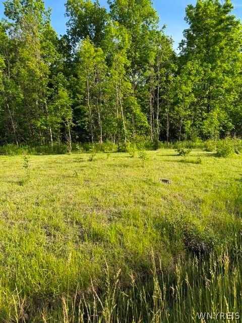 Vacant Land For Sale - Lake Shore Road<br/> Hamburg, NY 14075