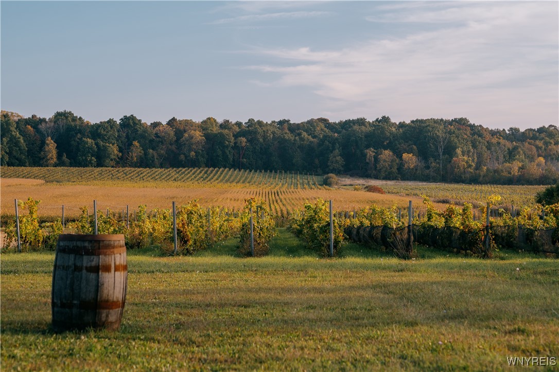 Cambria, New York 14094, United States, 3 Bedrooms Bedrooms, ,3 BathroomsBathrooms,Residential,Active,40825