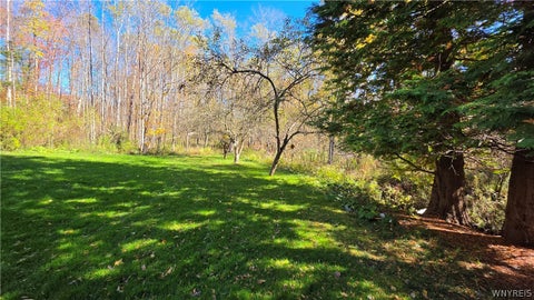 Tiny photo for 11380 Springville Boston Road, Concord, NY 14055 (MLS # B1723915)