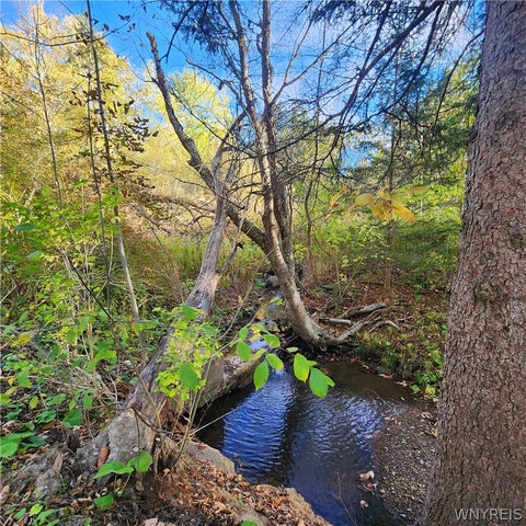 Tiny photo for 11380 Springville Boston Road, Concord, NY 14055 (MLS # B1723915)