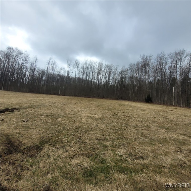 3545 Salisbury Road, Gerry, New York image 15