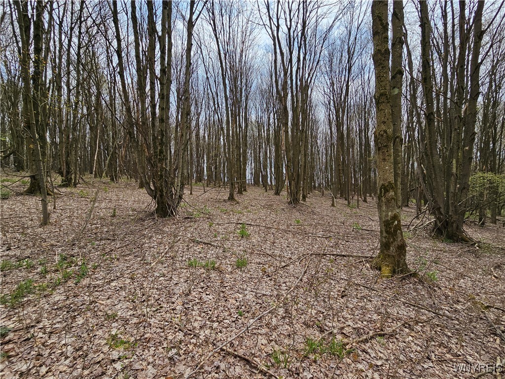 12 Trail Heights, Ellicottville, New York image 2