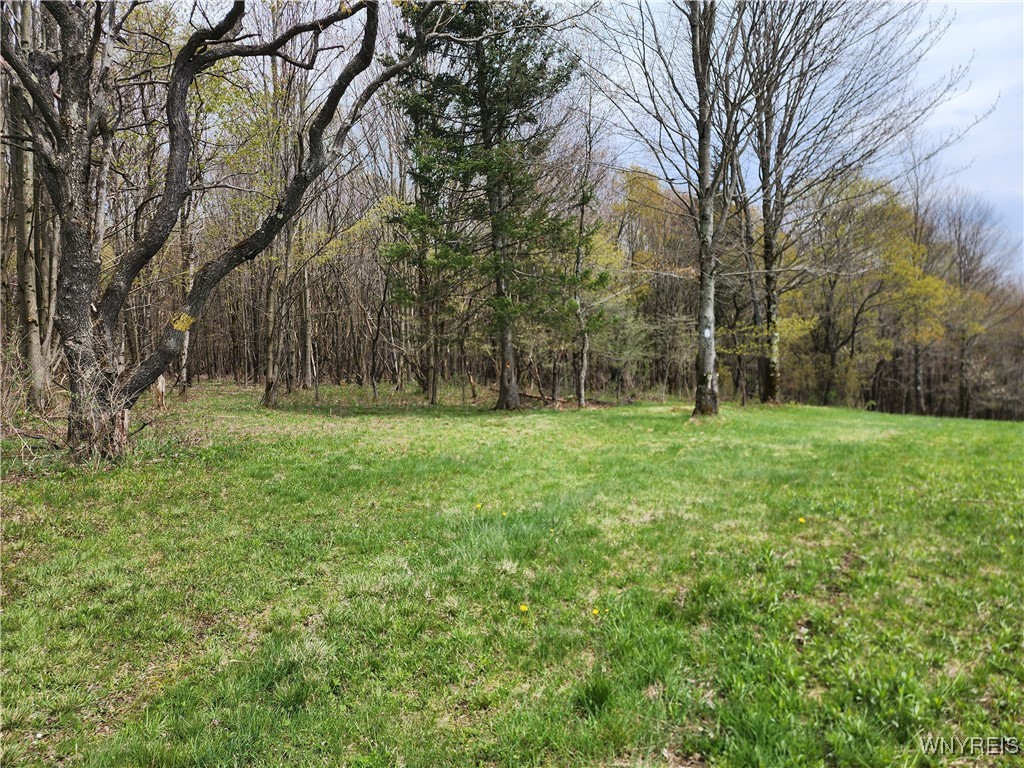 12 Trail Heights, Ellicottville, New York image 3