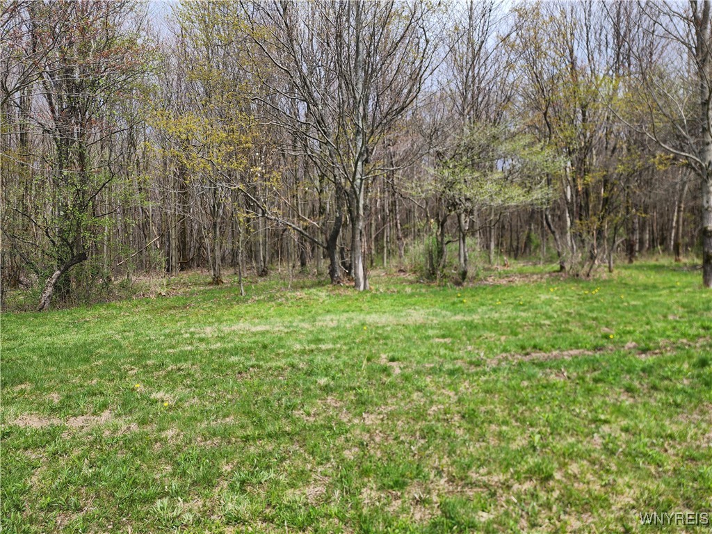 12 Trail Heights, Ellicottville, New York image 5