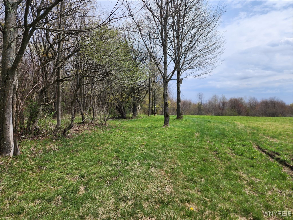 12 Trail Heights, Ellicottville, New York image 4